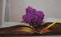 Wish Boeken