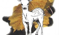 002_Kleine_dingen