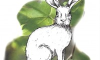003_Kleine_dingen
