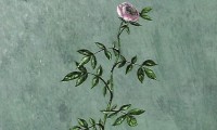 36841_Inkognito