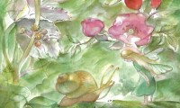 63-114_Marie-Laure-Viriot