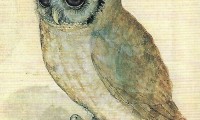 2598_Fink-Verlag