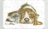 POC012_Wrendale-design